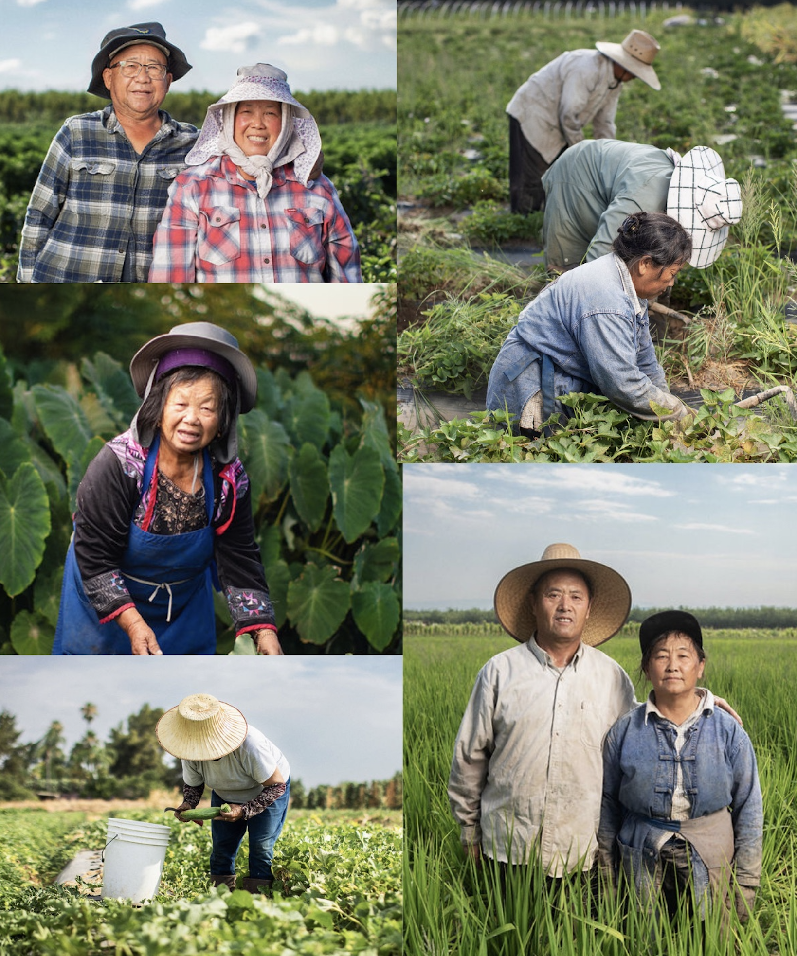 Farmer photography direction sheet, showing shot list for farmers harvesting, employees holding boxes, and community moments mapped to their placement in the design.
